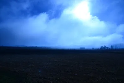 DSC_1024 (Large).JPG